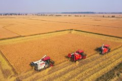 <b>昆明西山区1903贸易广场内的一家品牌连锁蛋糕烘</b>